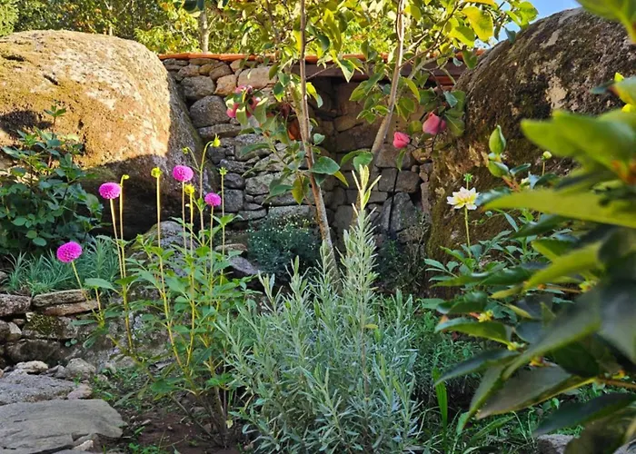 Casa Da Cascalheira 펜션 Salzedas